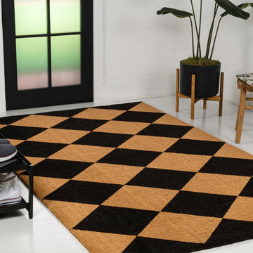 Paige Modern Classic Diamond-patterned Coir Area Rug
